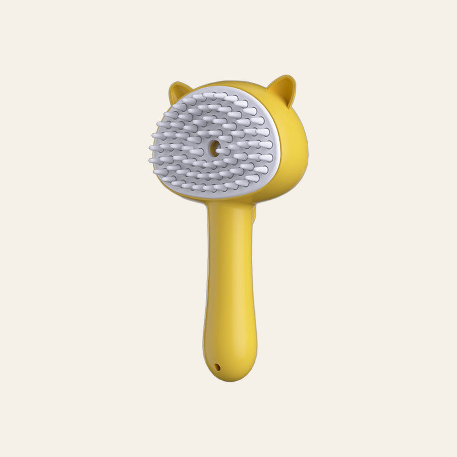 Brosse brumisateur rechargeable