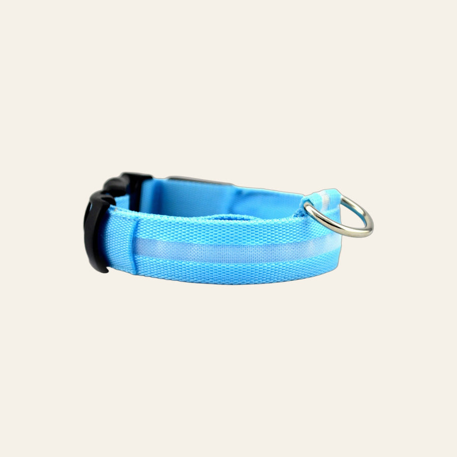 Collier lumineux rechargeable