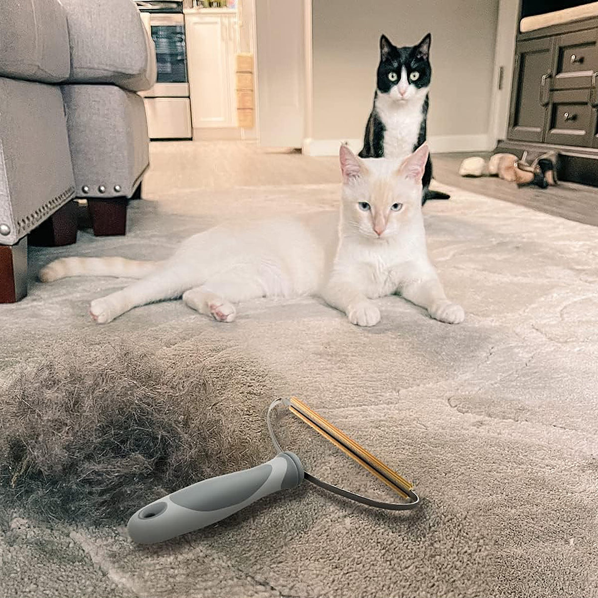 Peigne anti-poils en acier posé sur un tapis à côté d'un tas de poils de chat