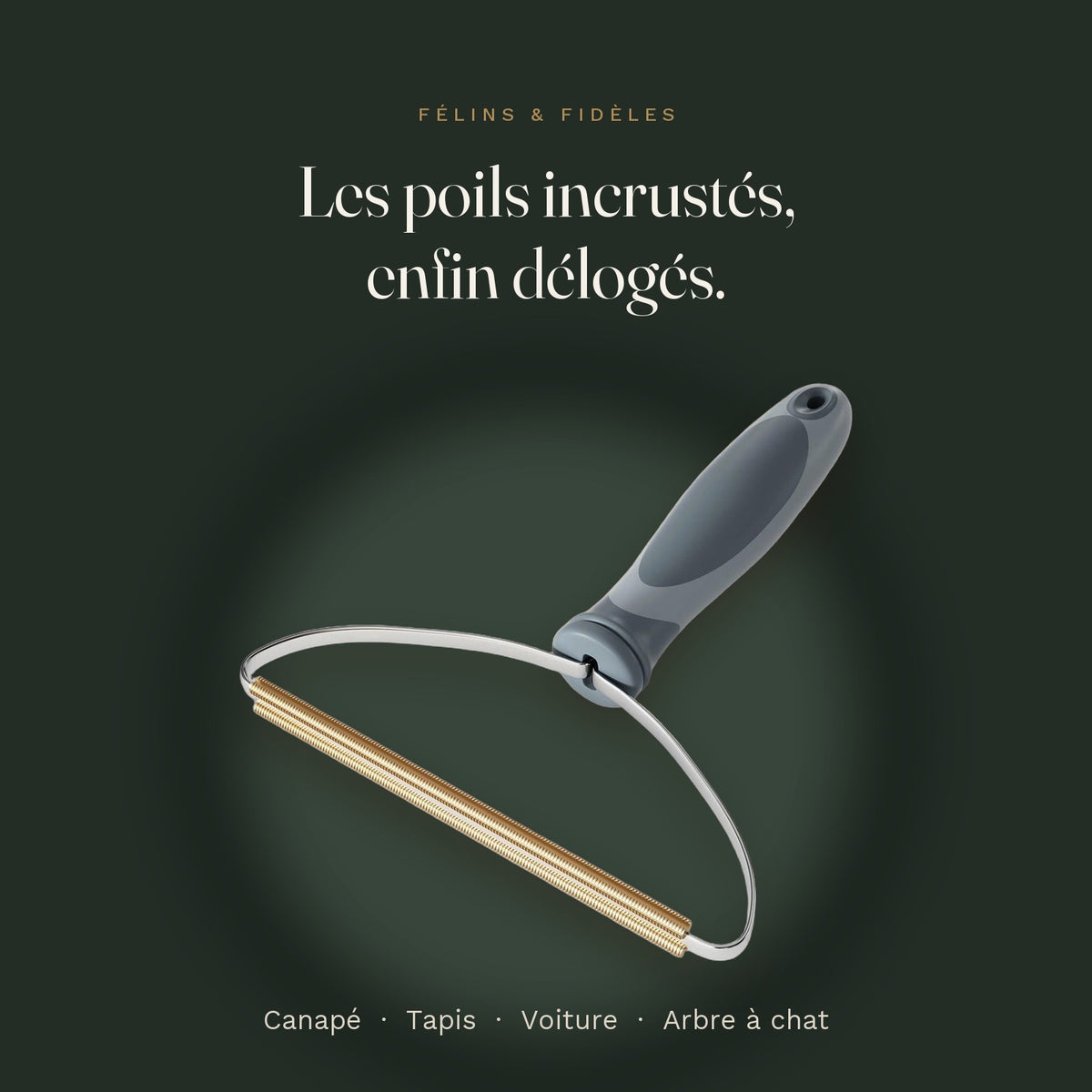 Peigne anti-poils en acier : les poils incrustés, enfin délogés